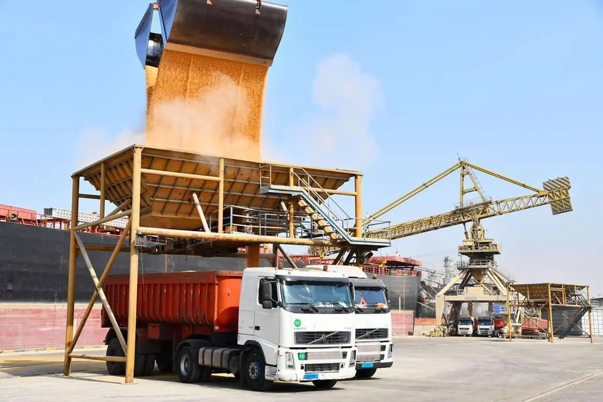 ۵ میلیون تن نهاده دامی در مبادی ورودی کشور است
