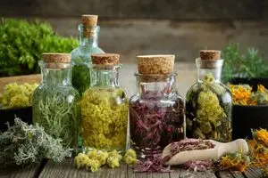 درمان دیابت با گیاهان دارویی چه بلایی سرتان می‌آورد؟