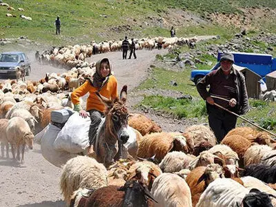 تعاونی‌های عشایری باید به دنبال راهکارهای جدید برای درآمدزایی باشند/ لزوم برندسازی محصولات جامعه‌ی عشایری