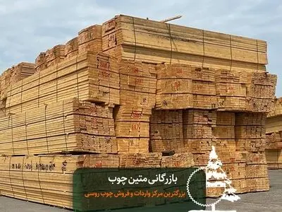 بزرگترین مرکز واردات و فروش چوب روسی