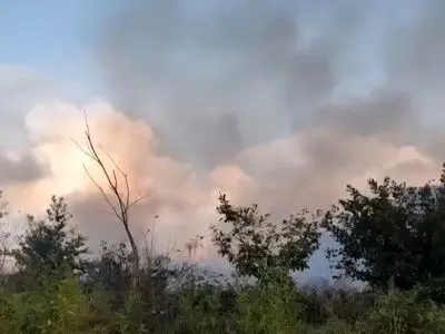 آتش‌سوزی گسترده در جنگل‌های کومله؛ ۱۵ هکتار طعمه حریق شد