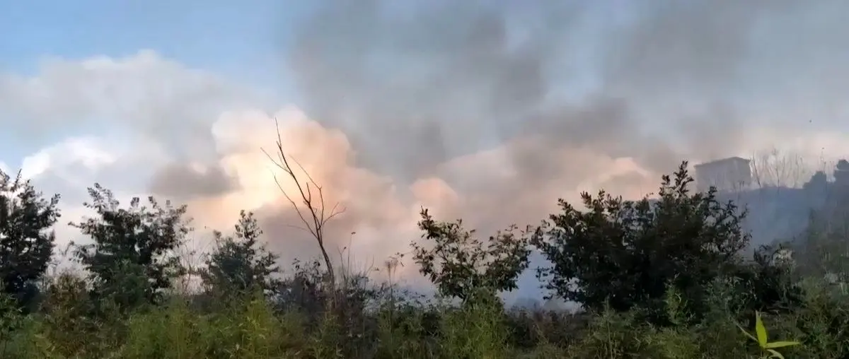 آتش‌سوزی گسترده در جنگل‌های کومله؛ ۱۵ هکتار طعمه حریق شد