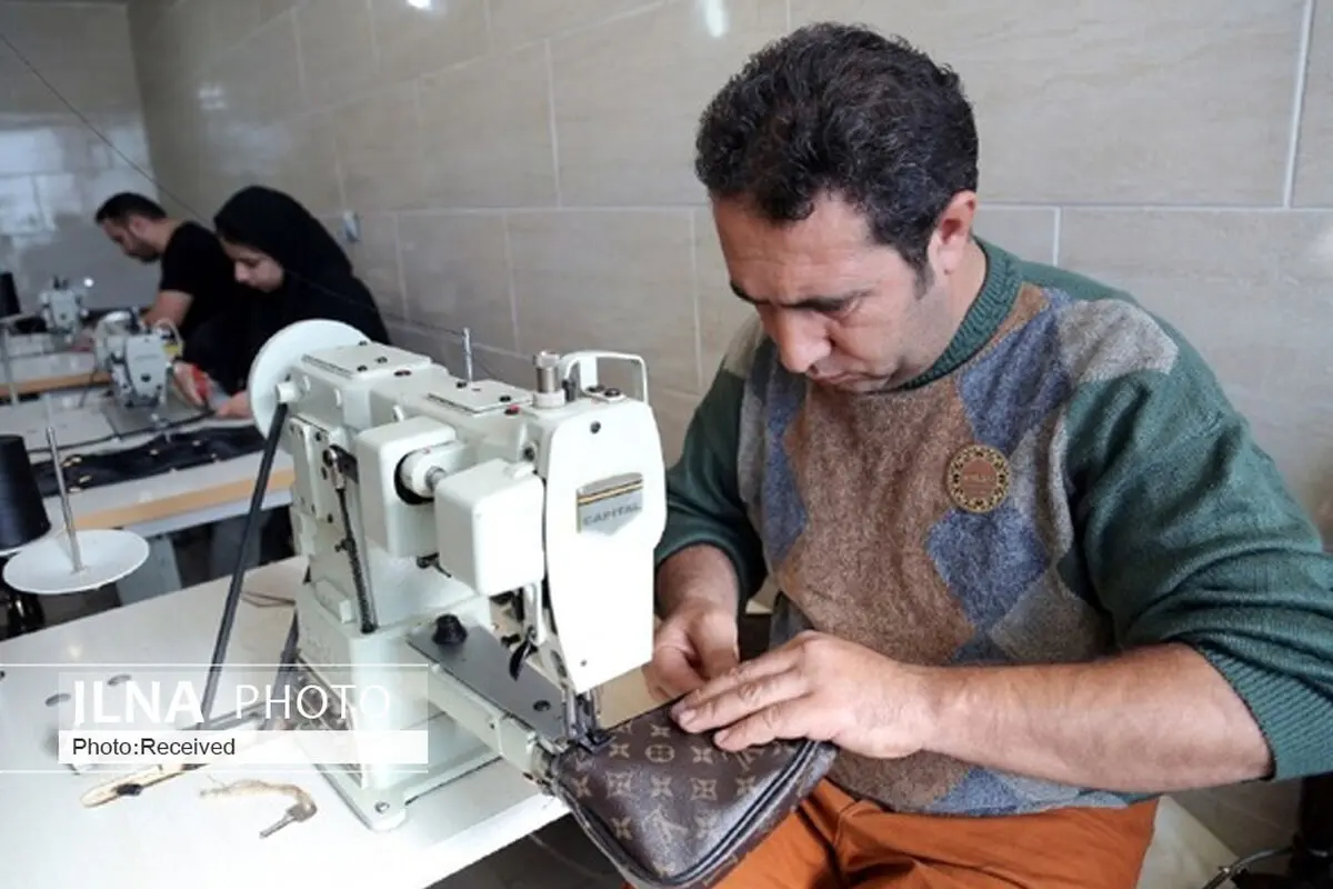 ایجاد اشتغال فقط با وام ممکن نمی‌شود/ ناپایداری کسب و کار‌ها نتیجه اجرای طرح‌های ناقص است