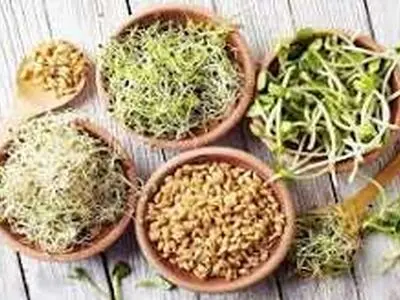 جوانه های پر خاصیت برای بدن + عکس