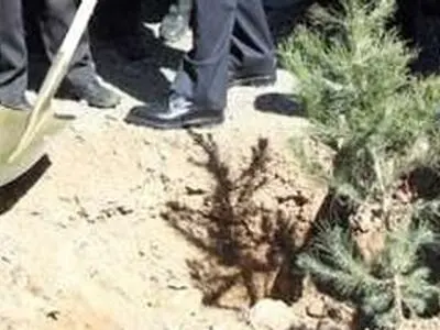 عملیات جنگل کاری ۵۰ هکتار از اراضی منابع طبیعی روستاهای تازه آباد و گزنهله از توابع سنقر