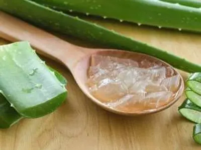 نحوه صحیح درمان گلو درد با استفاده از آلوئه ورا