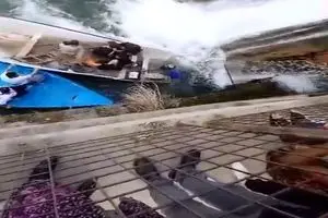 رانندهٔ قایق غرق‌ شده در پاوه پس‌ از نجات سرنشینان بازداشت شد + فیلم