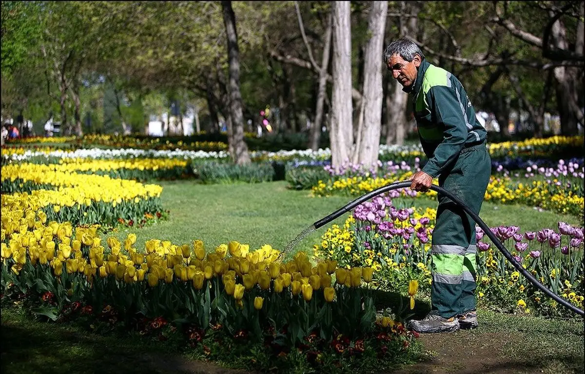 افزایش تامین آب غیر شرب در فضای سبز بندرعباس/ اجرای طرح‌های نوین آبیاری