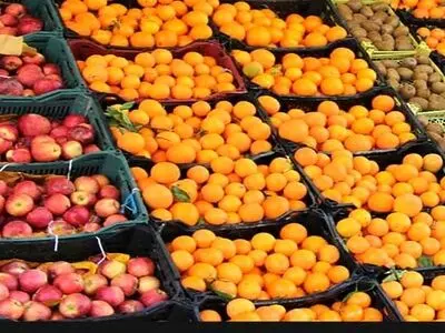 اسراف میلیاردها تومان بیت‌المال توسط سازمان تعاونی روستایی