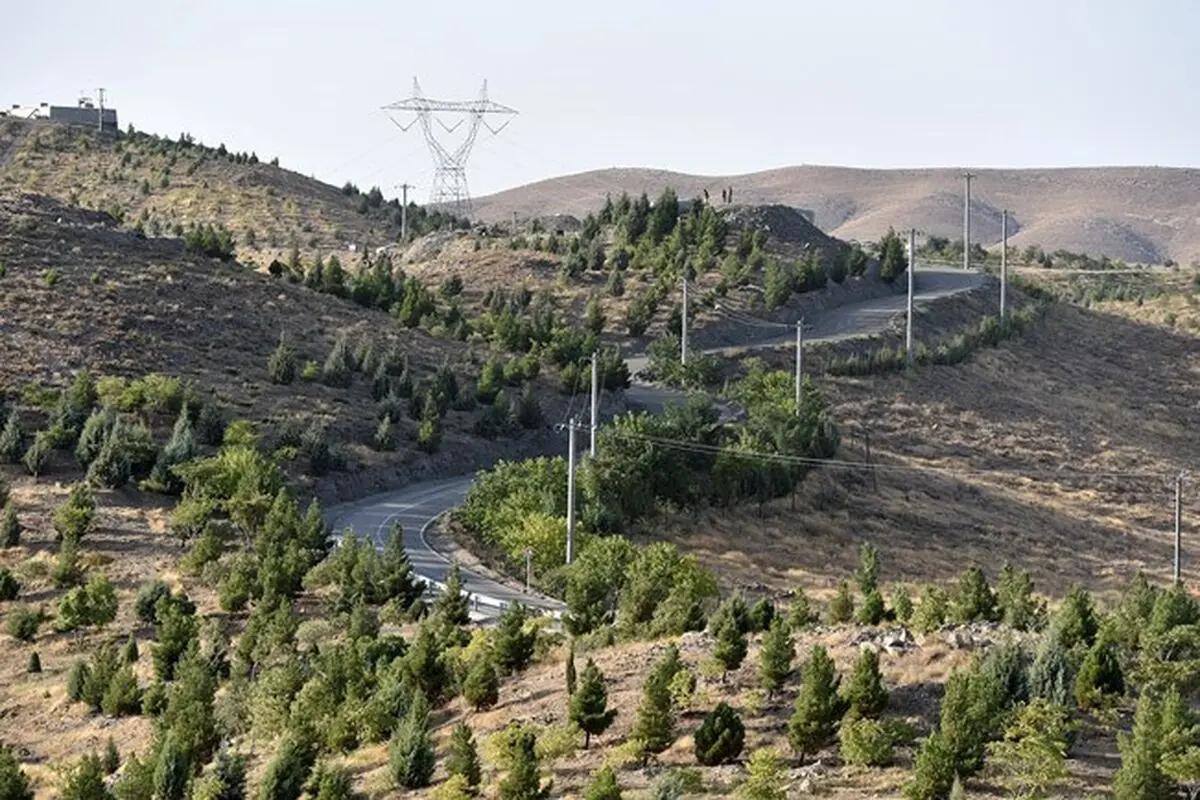 کمربند سبز مشهد آماده همکاری با فعالان گیاهان دارویی است