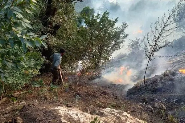آخرین وضعیت اطفای حریق در ۳ نقطه از جنگل‌های مازندران/ احتمال وقوع آتش‌سوزی‌های مجدد طی امروز و فردا 
