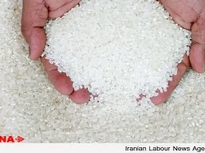 بهای برنج ایرانی بدلیل عدم تقاضا کاهش یافت