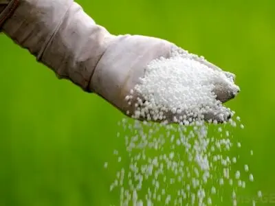 ظرفیت داخلی کودها و امکان تولید کودهای جایگزین بررسی شد