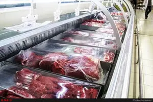 سود بازرگانی گوشت و دام صفر شد