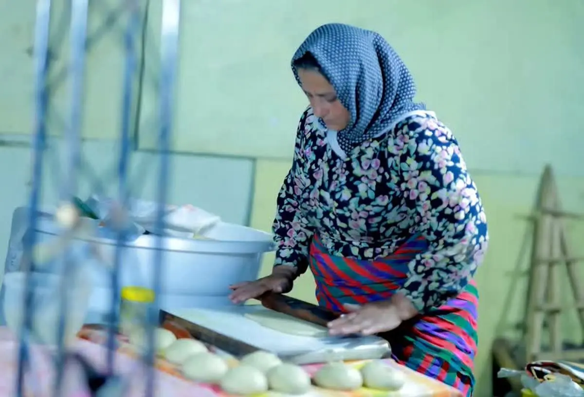 پرداخت ۷۳۰ میلیارد تومان تسهیلات مشاغل روستایی در مازندران/ مهاجرت معکوس، هدف بنیاد برکت است