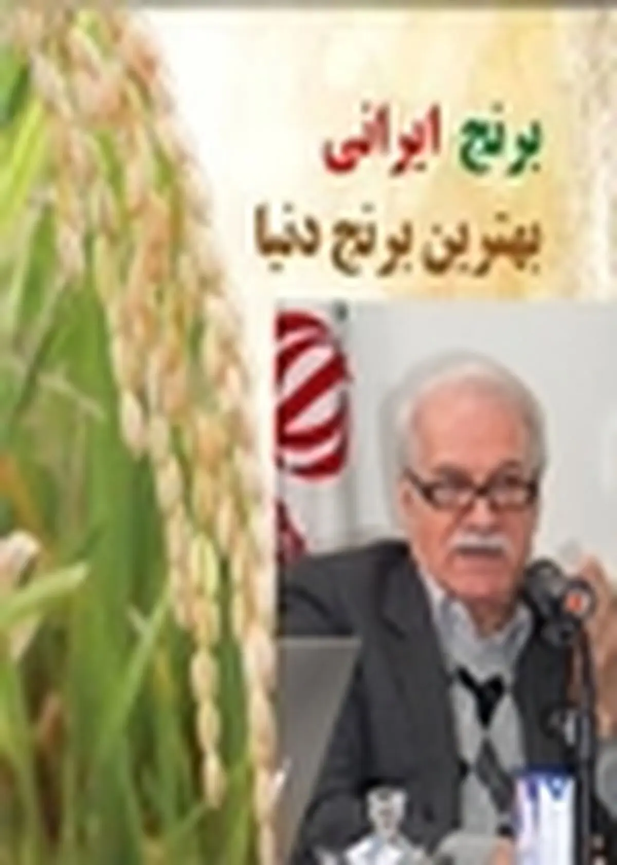 اجرای طرح برند سازی برنج ایرانی از سال ۹۴