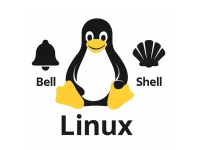 تفاوت "Bash" و "Shell" در لینوکس+توضیح ساده و کاربردی