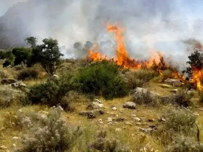 مهار آتش‌سوزی در میانکاله؛ ۵ هکتار از پوشش گیاهی طعمه حریق شد
