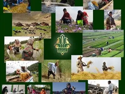 بانک کشاورزی همدان امسال بیش از 9 هزار میلیارد ریال تسهیلات پرداخت کرد