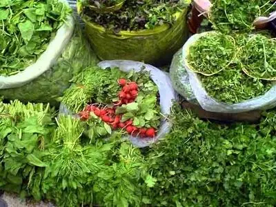 کشت تابستانه ۲۱۰ هکتار سبزی و صیفی‌ در خرمشهر