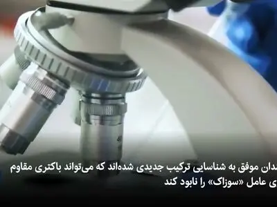 مقاومت میکروب‌ها شکست؛ کشف آنتی‌بیوتیکی جدید + فیلم
