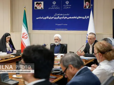 نشست تخصصی هیات پیگیری اجرای قانون اساسی