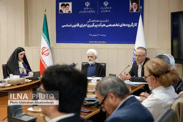 نشست تخصصی هیات پیگیری اجرای قانون اساسی