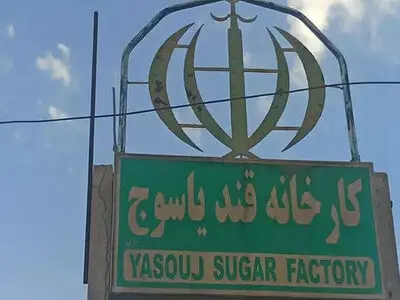 کارخانه قند یاسوج شروع به کار می‌کند/ بازگشت کارگران