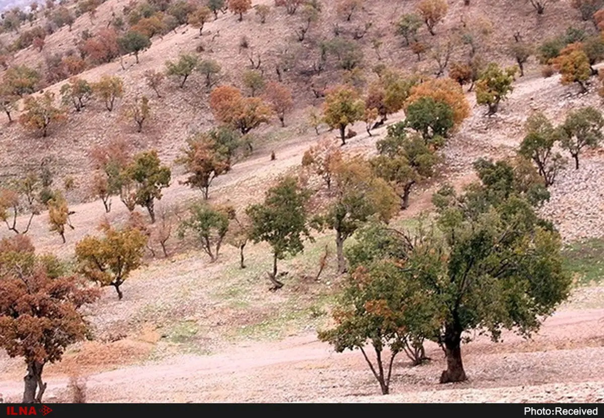 ۲ پروژه بزرگ «طرح توسعه کمربند سبز پیرامون شهر تهران»به بهره‌برداری رسید
