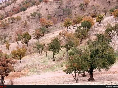 ۲ پروژه بزرگ «طرح توسعه کمربند سبز پیرامون شهر تهران»به بهره‌برداری رسید