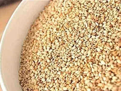 پیش بینی تولید ۱۴ هزار تن کنجد در سال جاری