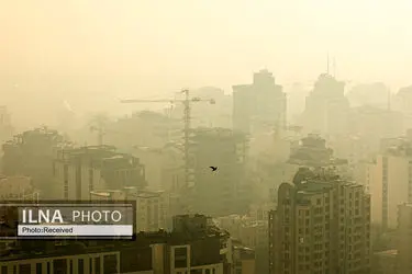 نفسم گرفت از این شهر