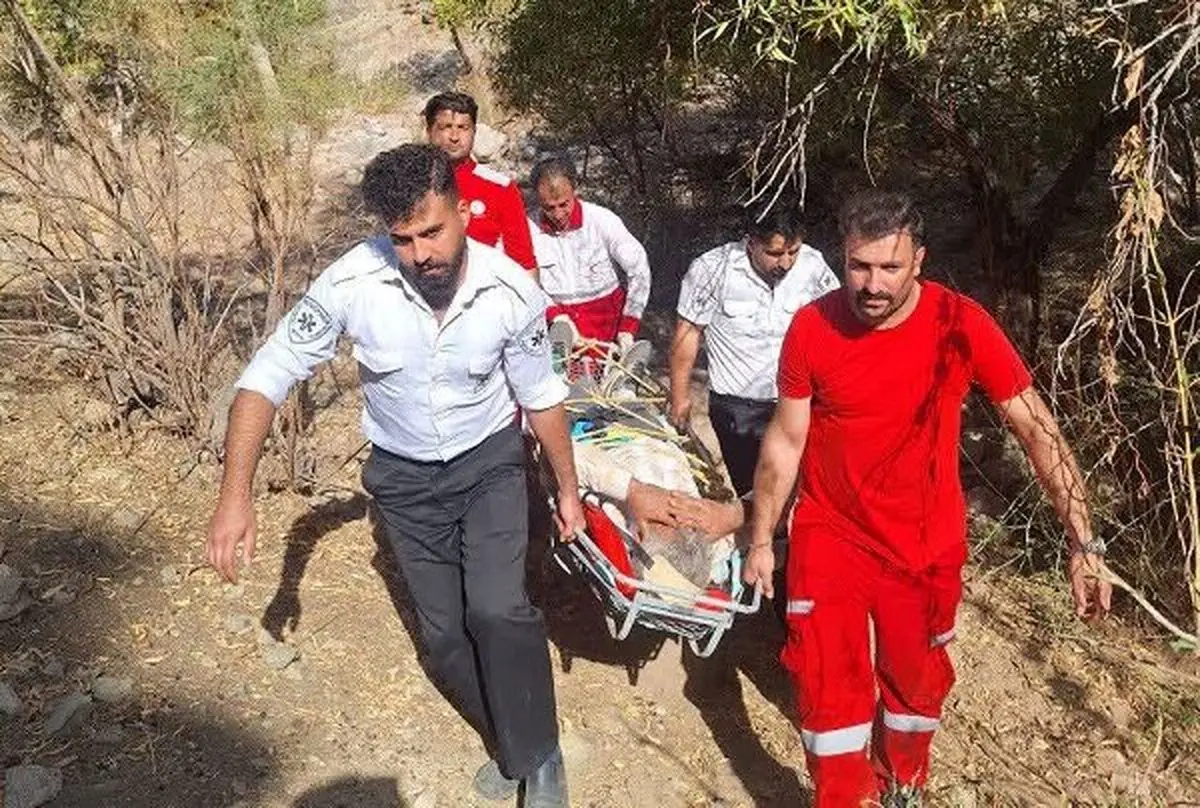 مصدومیت یک کارگر الموتی بر اثر سقوط از درخت انار