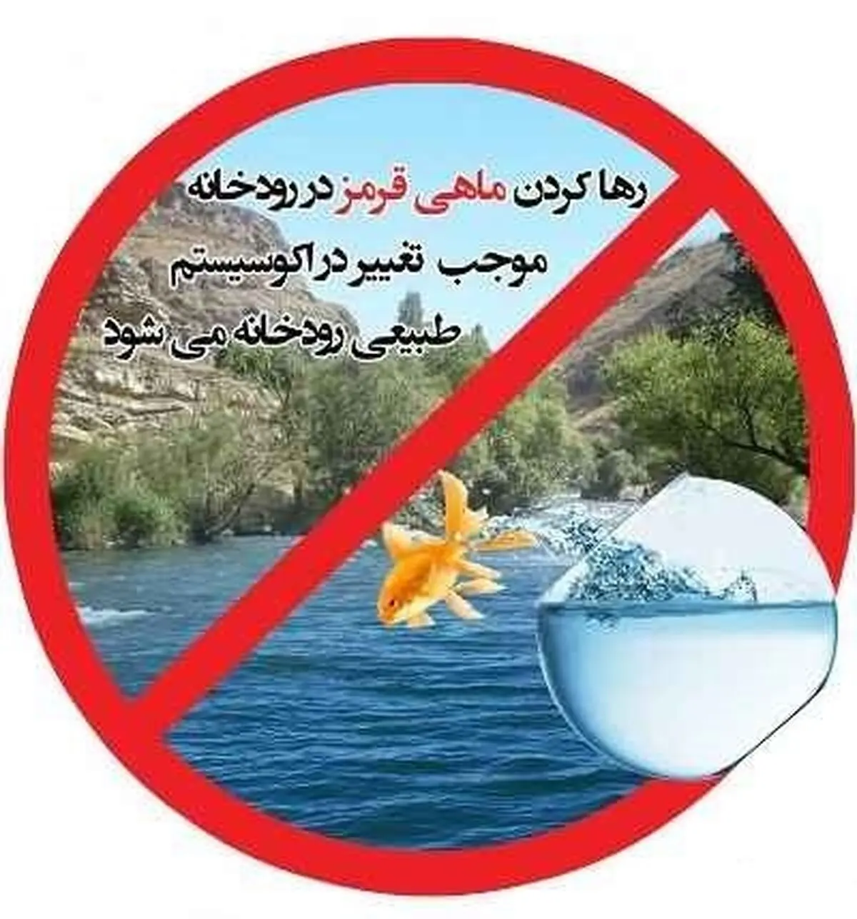 آمادگی باغ پرندگان دزفول برای تحویل ماهی قرمز عید/ شهروندان از رهاسازی ماهی قرمز در رودخانه‌ها خودداری کنند