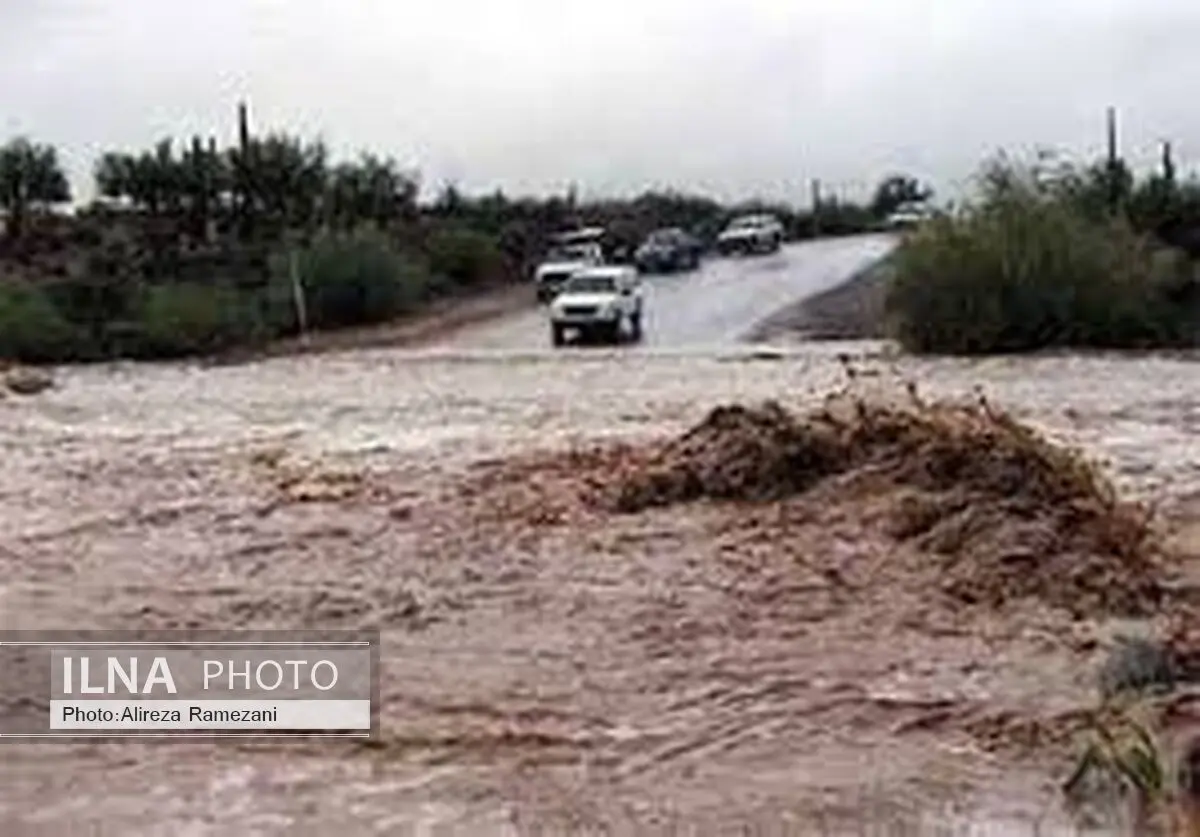 سیل 500 هکتار از باغات شهرستان کوهدشت را نابود کرد