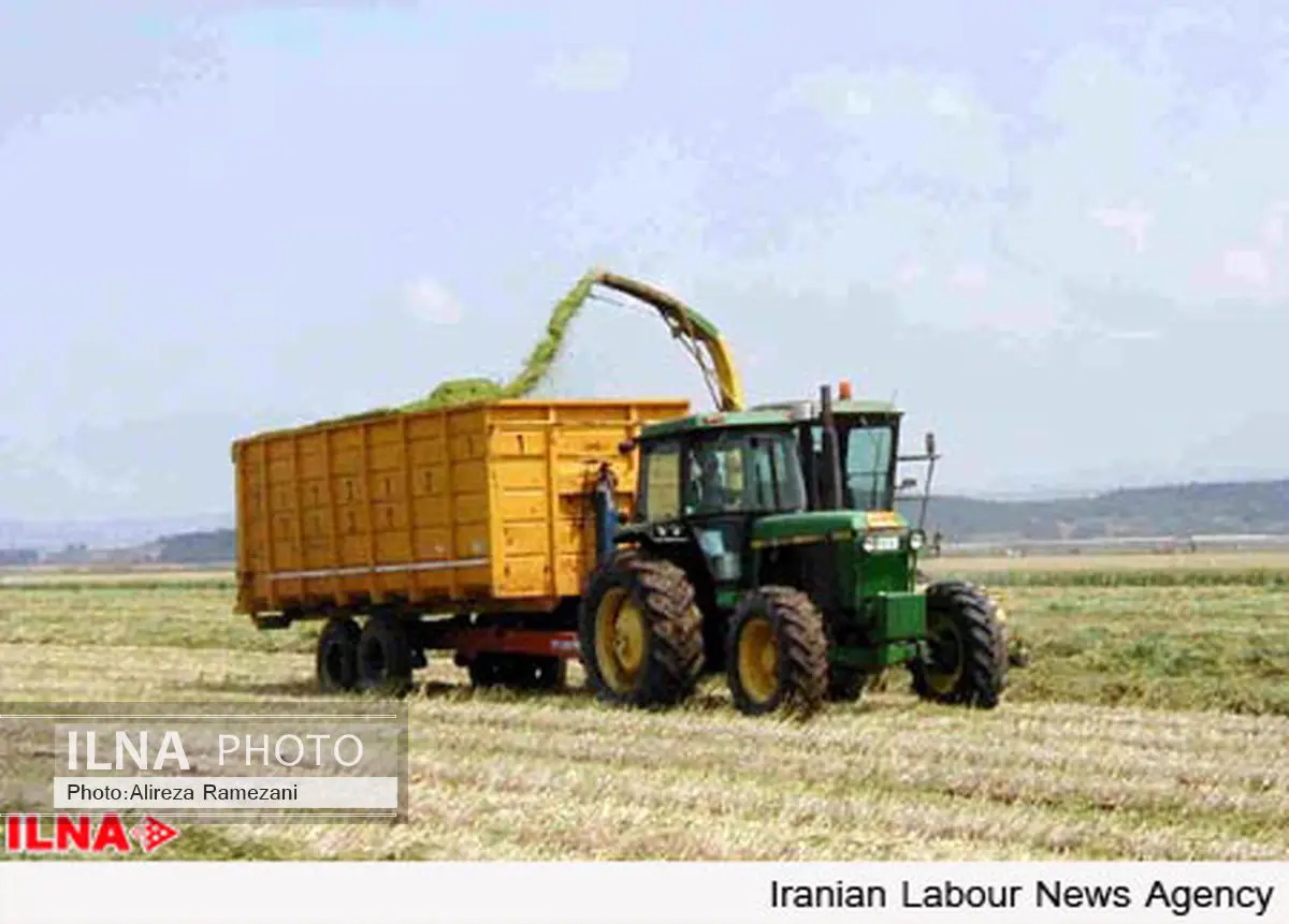رشد بهای فروش کالاهای ایرانی در بازار جهانی از دریچه بورس کالا