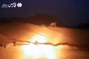 ثبت تصویر یوزپلنگ آسیایی در پارک ملی توران + فیلم