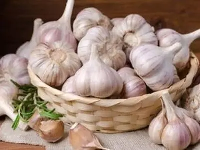 خوردن سیر خام ناشتا باعث لاغری می‌شود؟