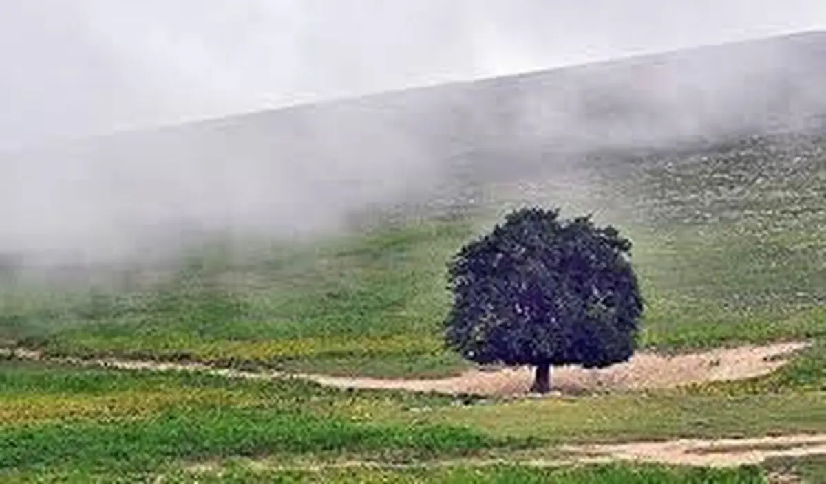 بارش باران و خنکی هوای گیلان از اواخر امروز