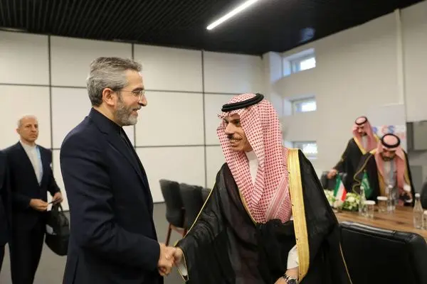 باقری کنی با وزیر خارجه عربستان دیدار و گفت‌وگو کرد