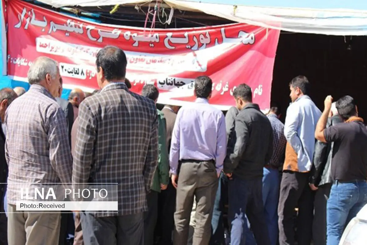 توزیع میوه غیر از تنظیم بازار در قزوین ممنوع است