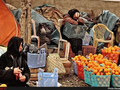 دیر اعلام شدن قیمت‌ها از سوی دولت، باغدار را ناگزیر از ارزان‌فروشی می‌کند/ دولت باید صادرات مرکبات را جدی بگیرد