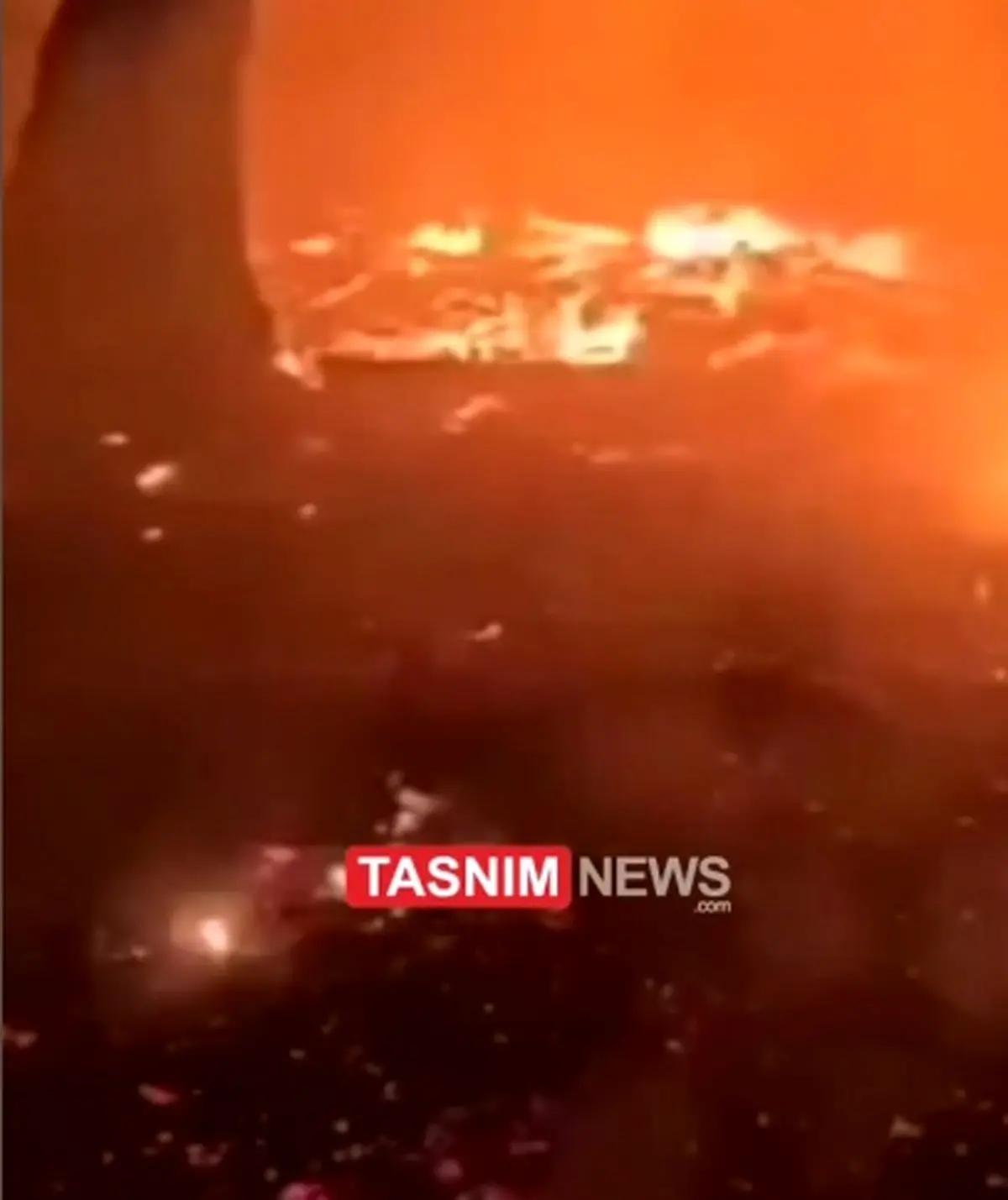 آتش دست بردار جنگل‌های هیرکانی نیست + فیلم