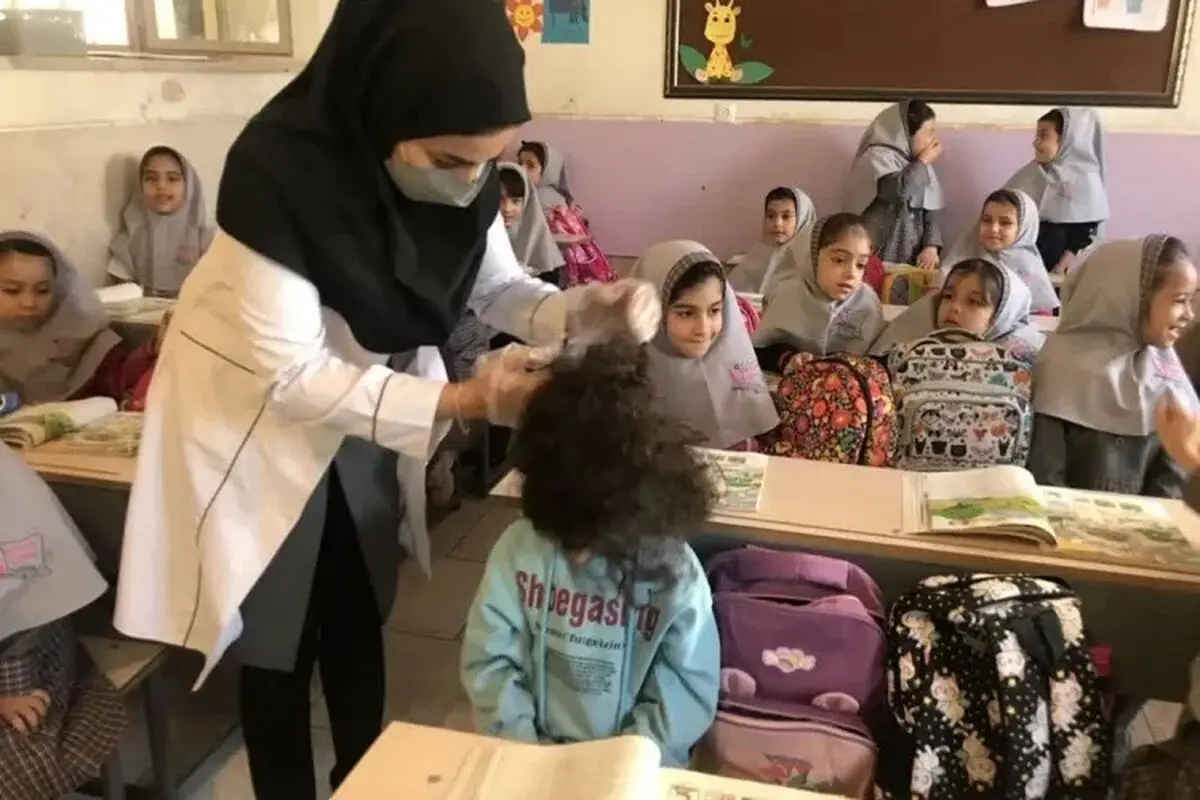 ثبت بیش از ۳۵۵ هزار مورد ابتلا به شپش سر در کشور؛ ۷۸ درصد مبتلایان دانش‌آموز بودند