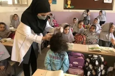 ثبت بیش از ۳۵۵ هزار مورد ابتلا به شپش سر در کشور؛ ۷۸ درصد مبتلایان دانش‌آموز بودند