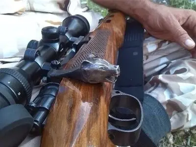 دستگیری شکارچیان غیرمجاز یک رأس گراز وحشی در بروجرد 