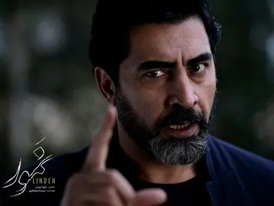 فروش فیلم‌های اجتماعی در سینمای ایران بالا نیست/ فیلم‌ها با سلایق هیات داوران ارزیابی می‌شوند