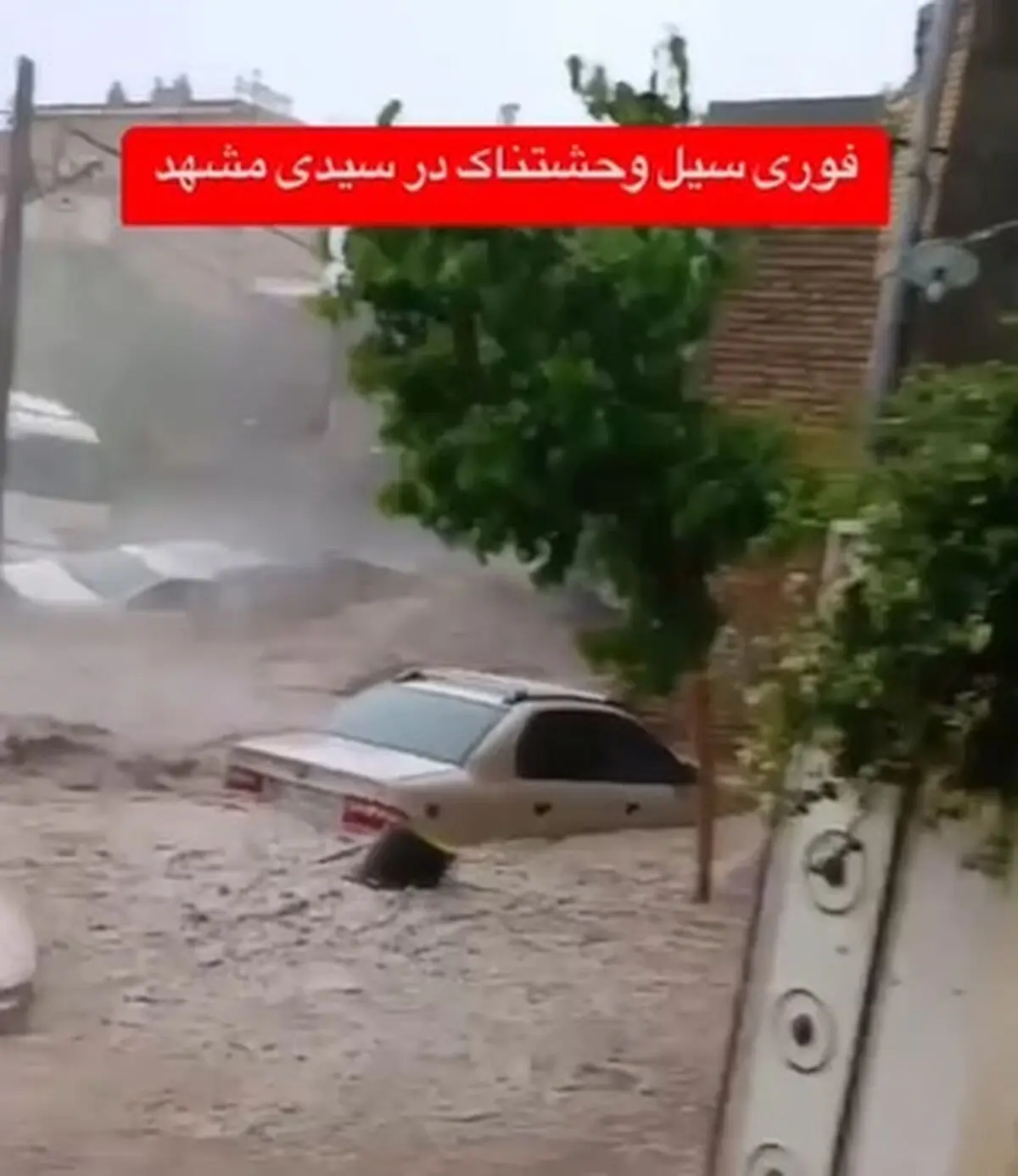 سیل وحشتناک در سیدی مشهد + فیلم