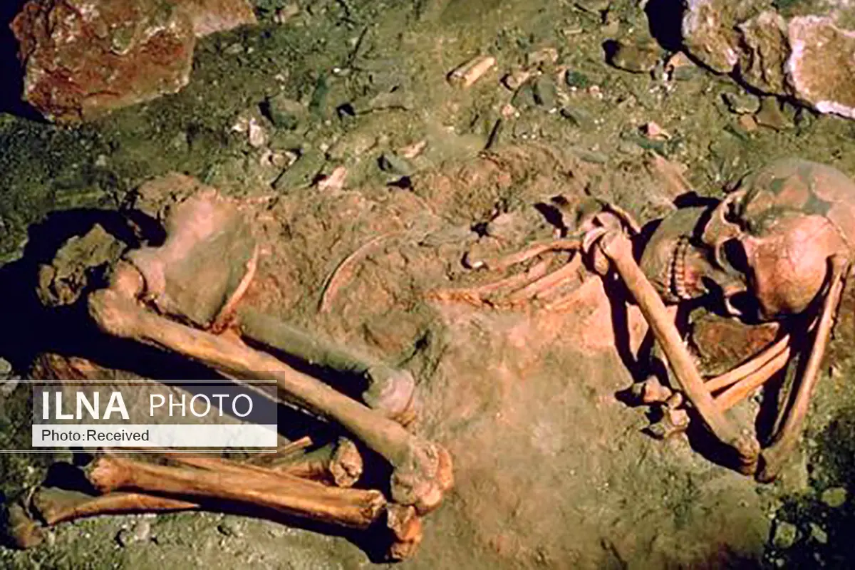 انسانها از چه زمانی مردگان خود را دفن کردند؟ 