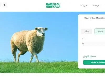 خرید گوسفند زنده